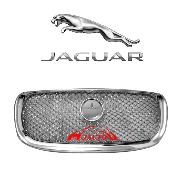 Jaguar XF 2012 Front Grille